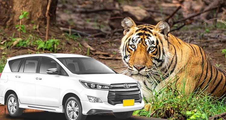 innova car taxi